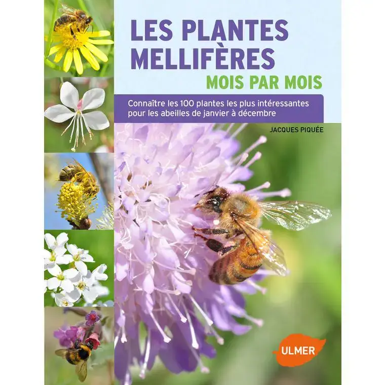 Les Plantes Mellifères Mois par Mois 192 pages Éditions Eugène ULMER Meilleure Vente