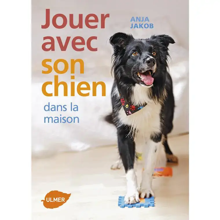 Marque Jouer avec son Chien à la Maison 96 pages Éditions Eugène ULMER