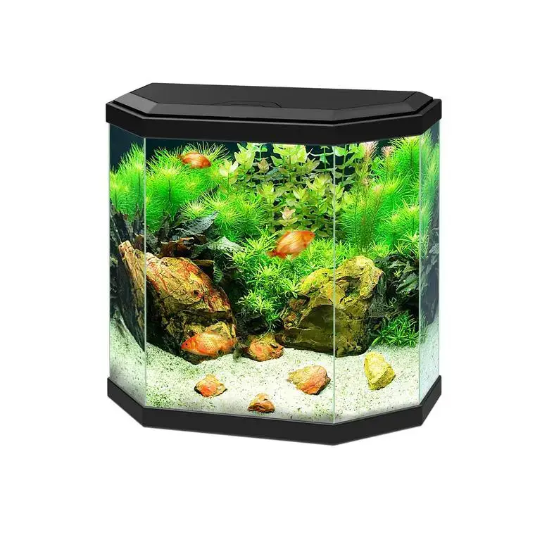 Aquarium équipé Aqua 30 noir – 25L Nouvelle Collection