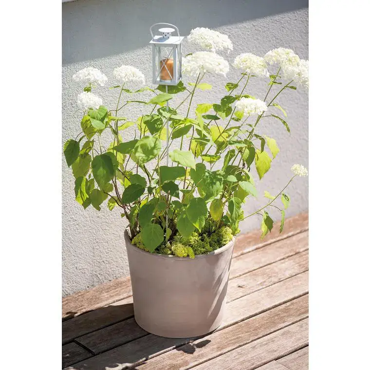 Vase Cilindrico Gris grafite en terre cuite D25 x H21 Dernier Modèle