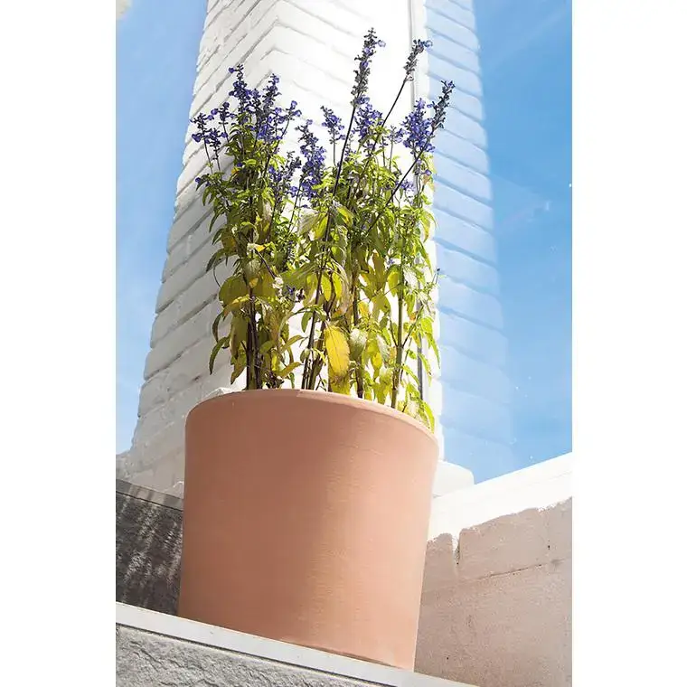 Vase Cilindrico clair D25 x H21 Seulement Aujourd&rsquo;hui