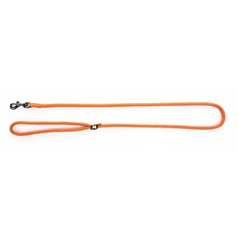 Bon Plan Laisse ronde pour chien coloris orange 1,3 cm x 1 m