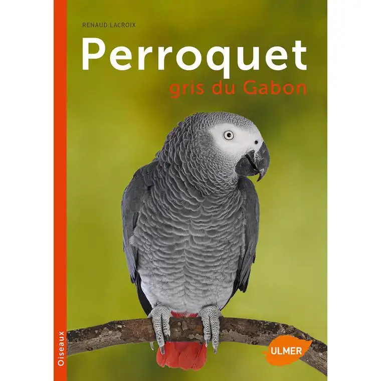Acheter En Ligne Perroquet Gris du Gabon 96 pages Éditions Eugène ULMER