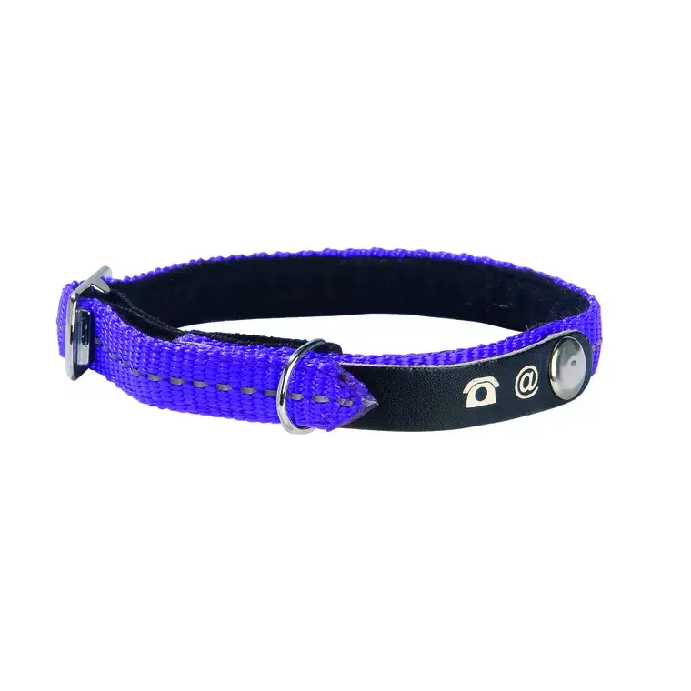 Quantité Limitée Collier chat Lost violet taille XS