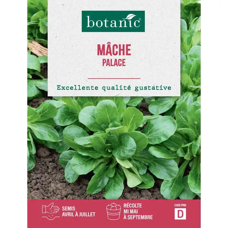Acheter Direct Graines de mâche palace botanic® – graines à semer