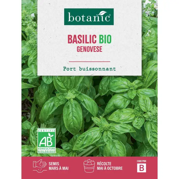Vente Directe Graines de basilic à grandes feuilles bio botanic® – graines à semer
