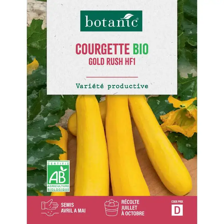 Achat Immédiat Graines de courgette gold rush HF1 bio botanic® – graines à semer