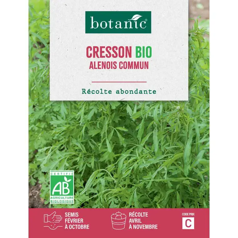 Achetez Aujourd&rsquo;hui Graines de cresson alénois commun bio botanic® – graines à semer