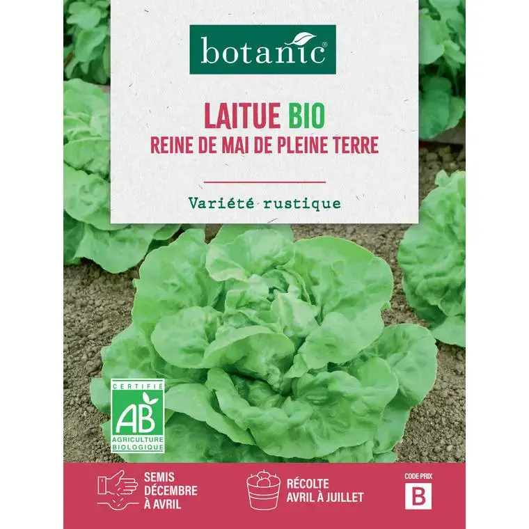 Affaire À Saisir Graines de laitue reine de Mai de pleine terre bio botanic® – graines à semer