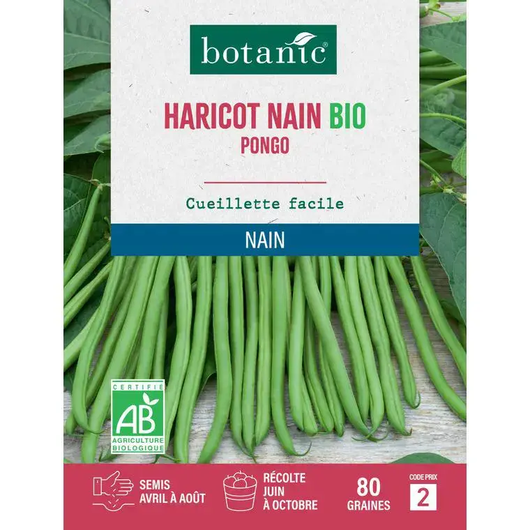 Achat Immédiat Graines de haricot nain pongo extra-fin sans fil bio botanic® – graines à semer