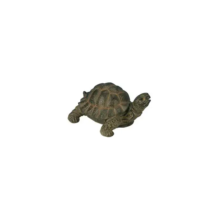 Vente Directe Tortue marron 24 cm