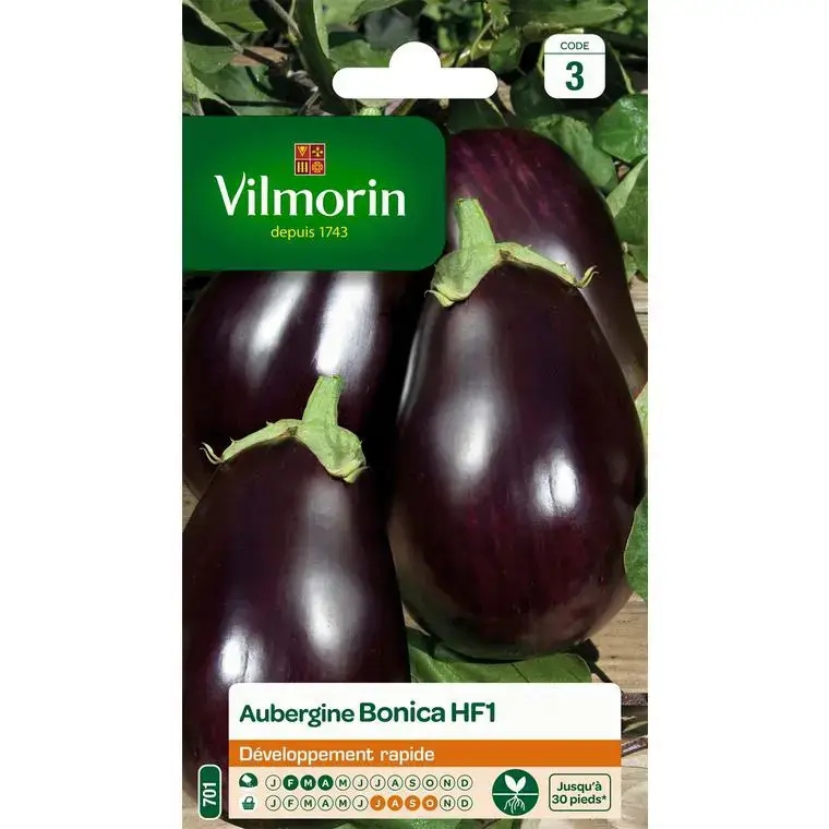 Retour Gratuit Graines d&rsquo;aubergine bonica HF1 Vilmorin – graines à semer