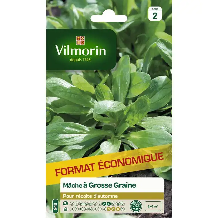 Graines de mâche à grosse graine Vilmorin – graines à semer Super Prix