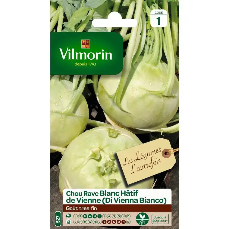 Graines de choux rave blanc hatif de Vienne Vilmorin – graines à semer Authentique
