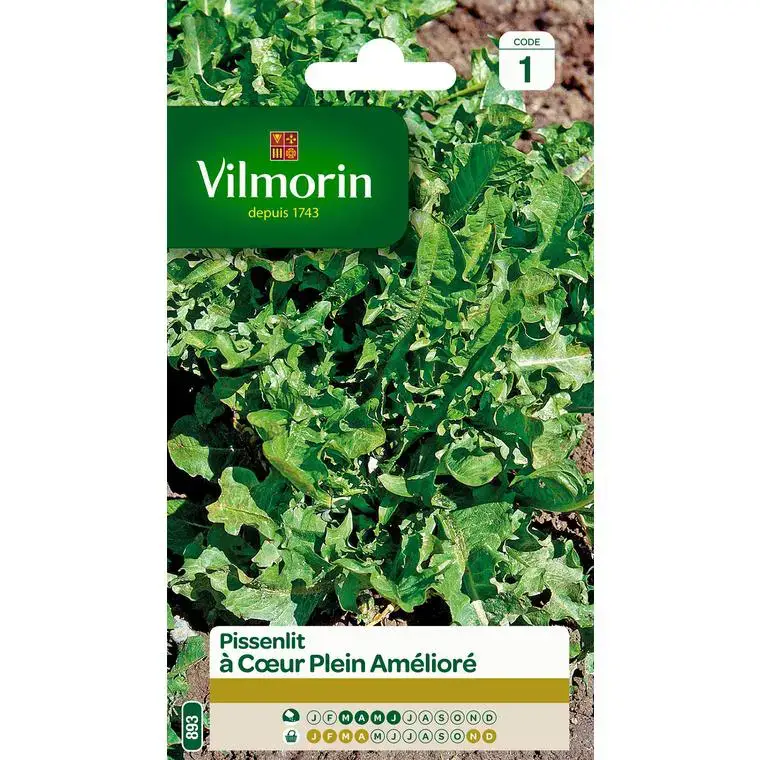 Seulement Aujourd&rsquo;hui Graines de pissenlit à cœur plein amélioré Vilmorin – graines à semer