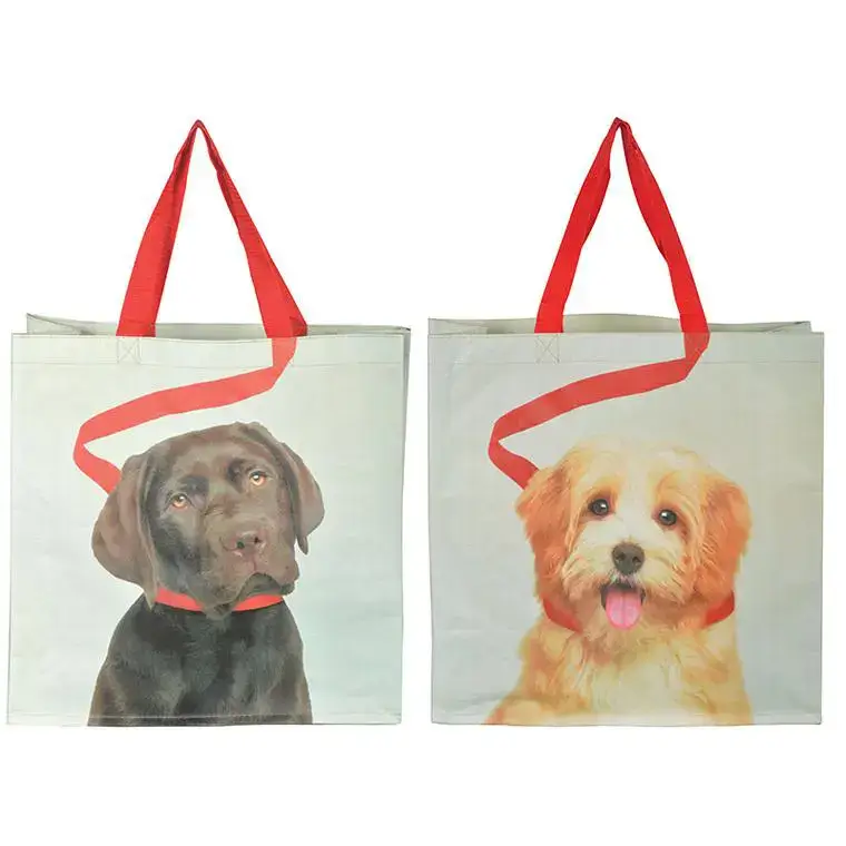 Remise Sac de course chien poignée laisse 14×39 cm