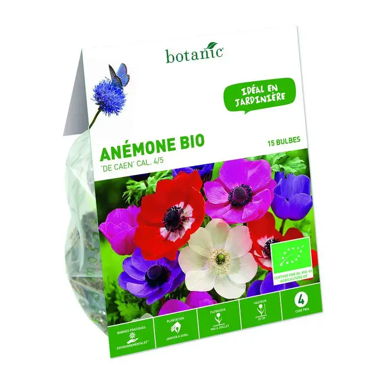 Anémone de Caen bio botanic® – 15 bulbes Expédition Rapide