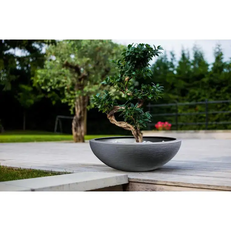 Vasque Graphit Anthracite – D59 x H21 Prix Promo