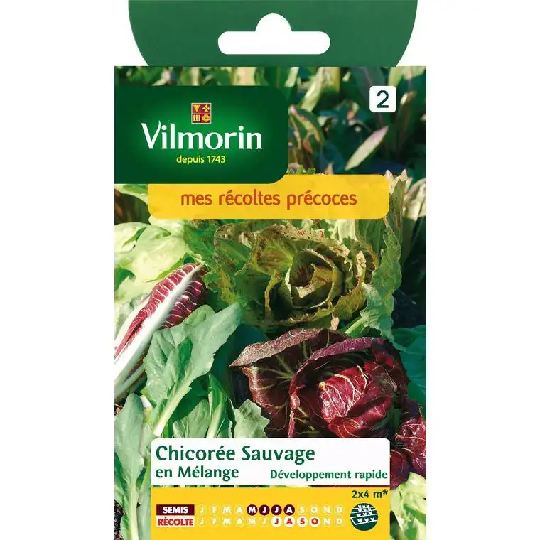 Offre Du Jour Graines de chicorée sauvage en mélange Vilmorin – graines à semer