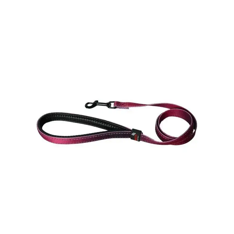 Super Prix Laisse chien nylon 16 mm / 100 cm bordeaux soie