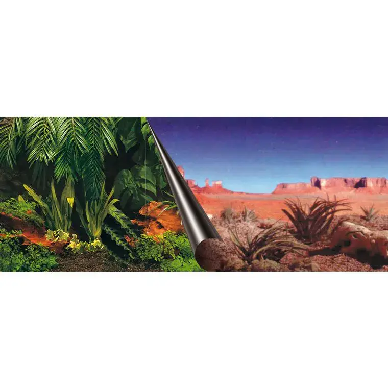 Petit Prix Poster jungle et désert 80×40 cm