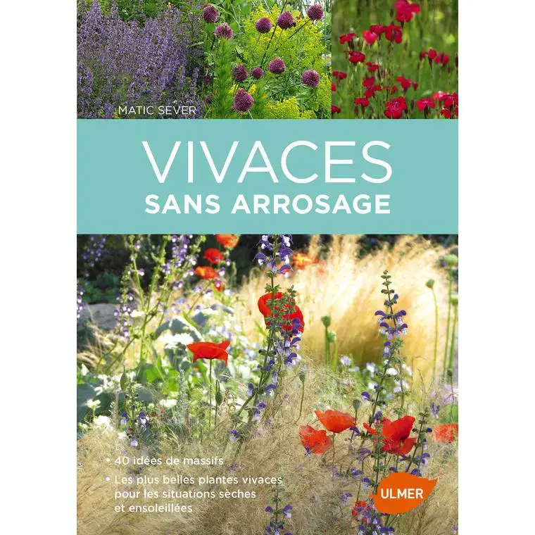 Achat Immédiat Vivaces Sans Arrosage. 40 Idées de Massifs 224 pages Éditions Eugen ULMER