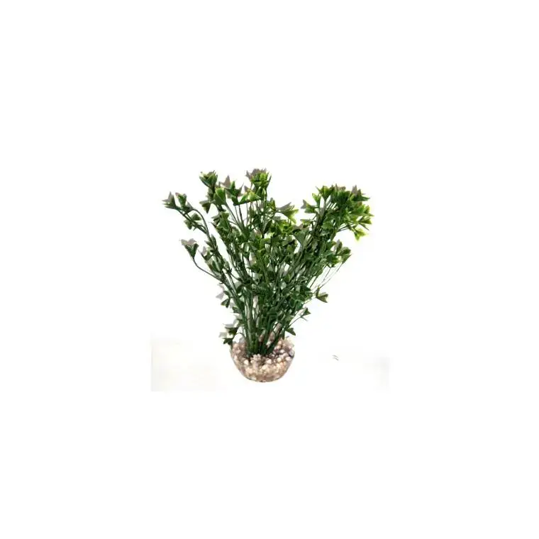 Meilleur Choix Algue colorée verte en plastique 15 cm
