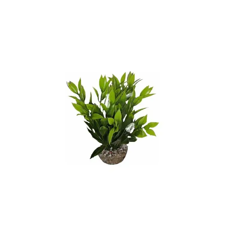 Dracaena vert en plastique 13 cm Expédié Aujourd&rsquo;hui