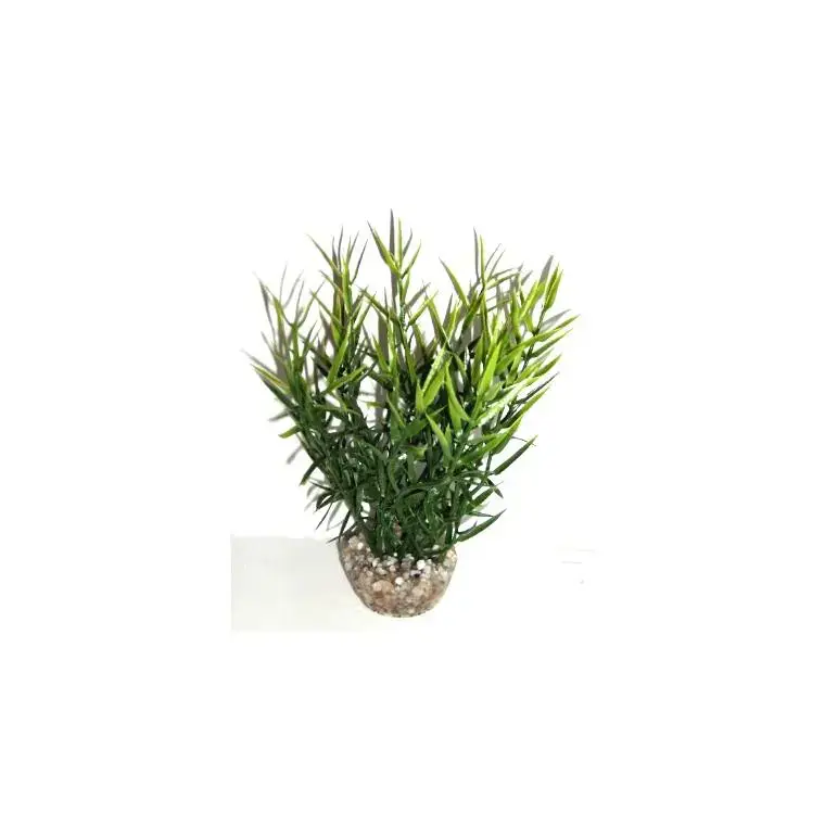 Top Vente Herbe marine verte en plastique 16 cm