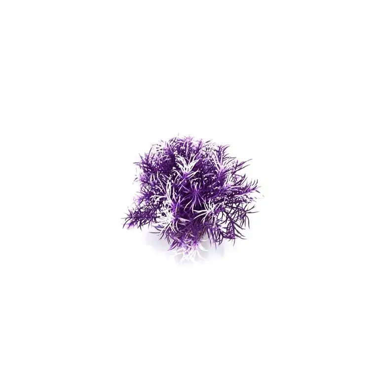 Certifié Massif de sprengeri violet en plastique 12 cm
