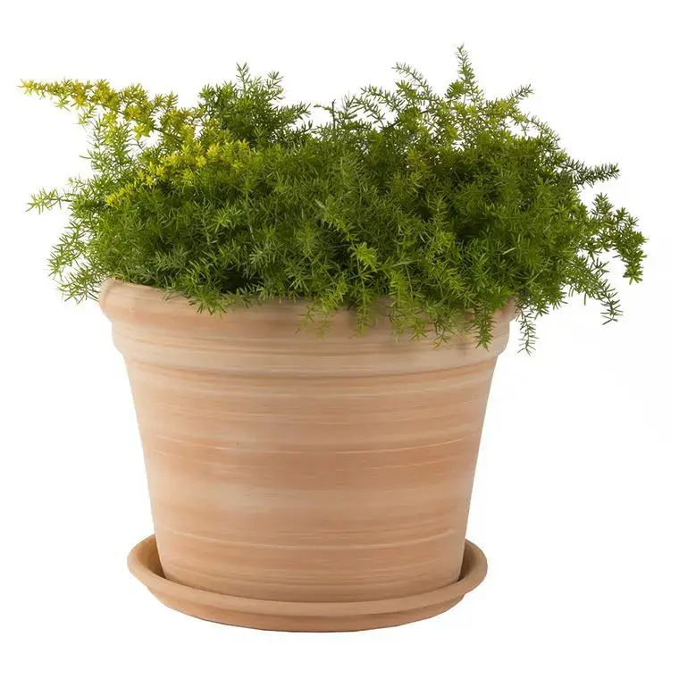 Bon Plan Pot gamme Cocio bordo Ø 34 cm