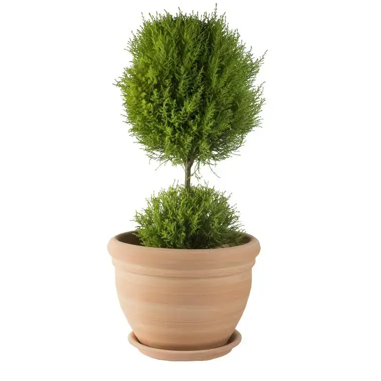 Retour Gratuit Pot gamme Coco Ø 34 cm