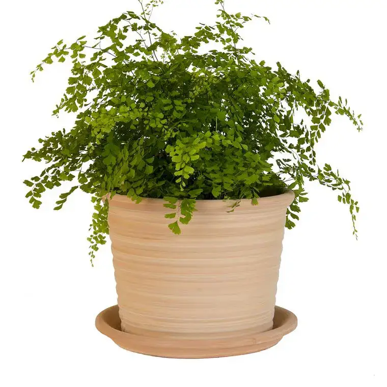 Paiement Sécurisé Pot strié gamme cocio liso Ø 30 cm