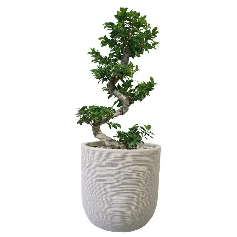 Paiement Sécurisé Pot rond en corde Ø 45 cm
