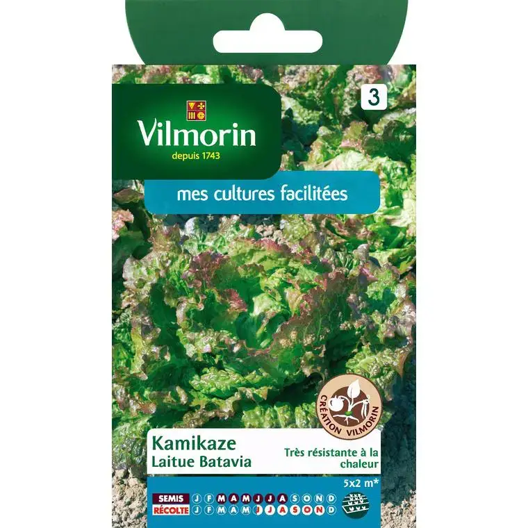 Soldes Graines de laitue batavia kamikaz Vilmorin – graines à semer