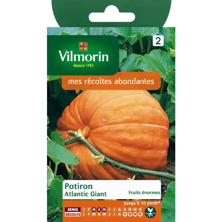 Offre Du Jour Graines de potiron atlantic Vilmorin – graines à semer