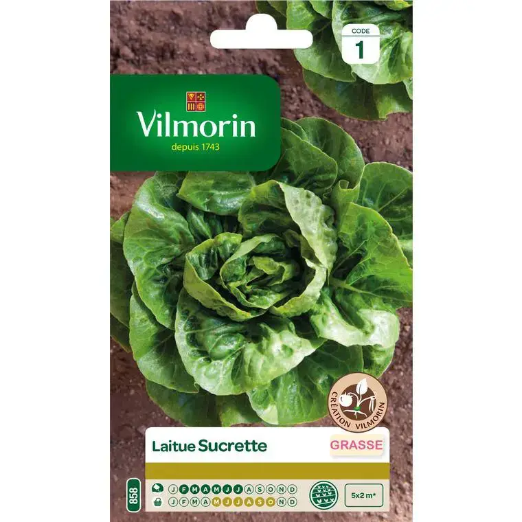 Graines de laitue sucrette Vilmorin – graines à semer Nouvel Arrivage