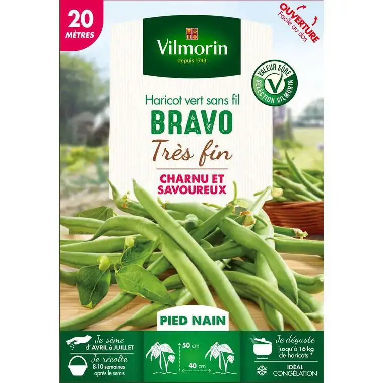 Graines de haricot nain Bravo Vilmorin – graines à semer Affaire À Saisir