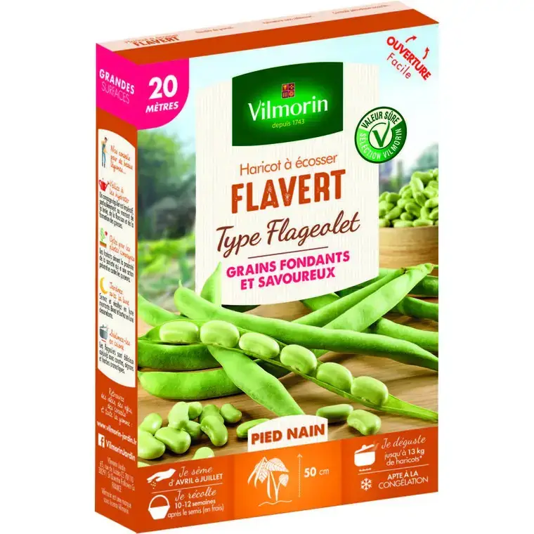 Graines de flageolet Flavert Vilmorin – graines à semer Haute Qualité