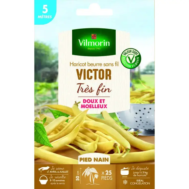 Offre Exclusive Graines de haricot nain Victor Vilmorin 5 mètres – graines à semer