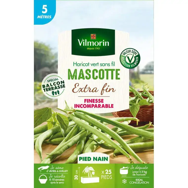 Graines de haricot nain Mascotte Vilmorin x 5 mètres – graines à semer Livraison Express
