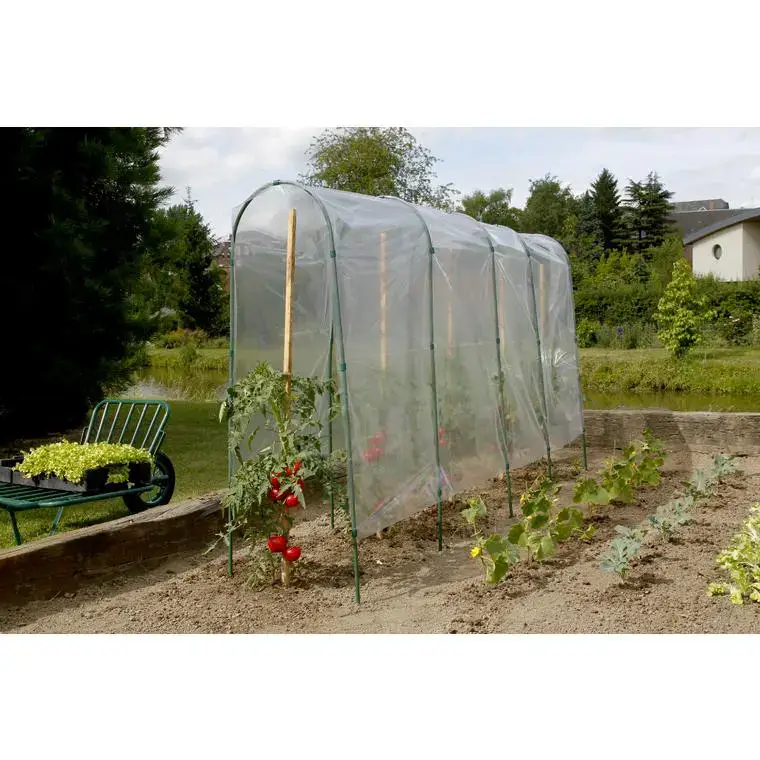 Tomato film coloris transparent 5×3,5 m Bon Marché