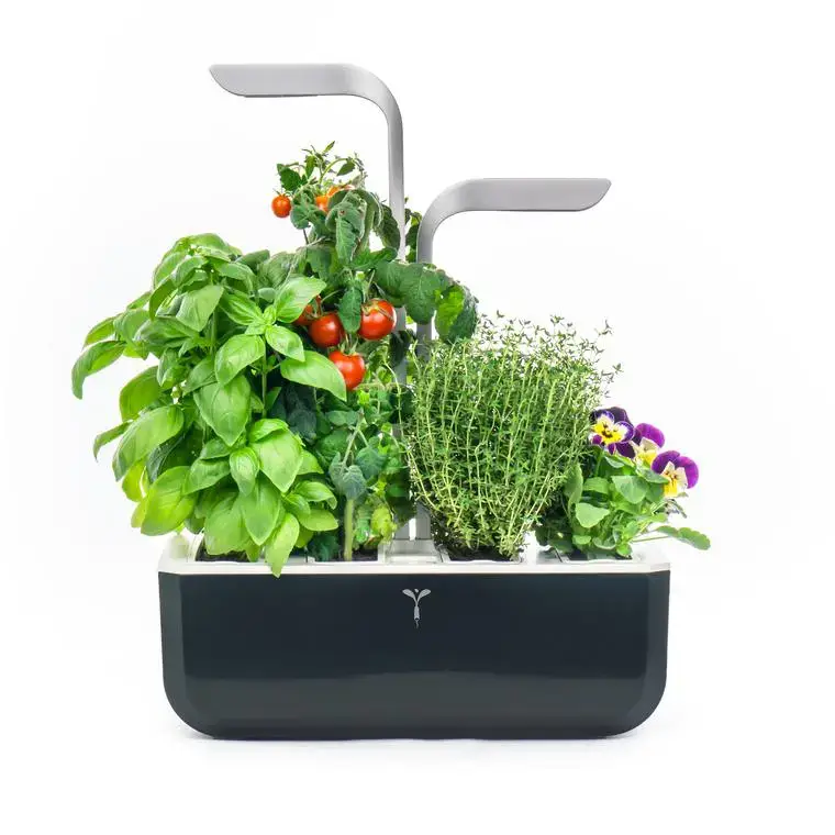 Achat Immédiat Potager d&rsquo;intérieur autonome Véritable® SMART Soft Black – livré avec 4 lingots
