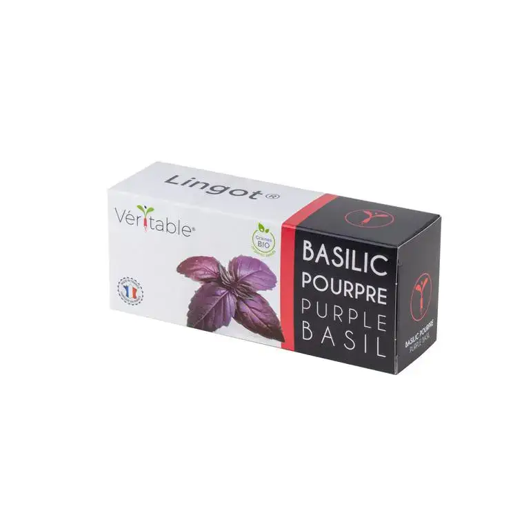 Prix Cassé Lingot Basilic Pourpre Bio