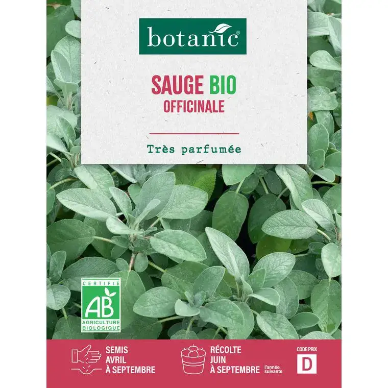 Vente Directe Graines de sauge officinale bio botanic® – graines à semer
