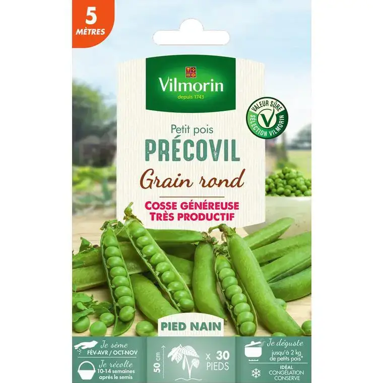 Dernier Modèle Graines de pois nain Precovil Vilmorin 5 mètres – graines à semer