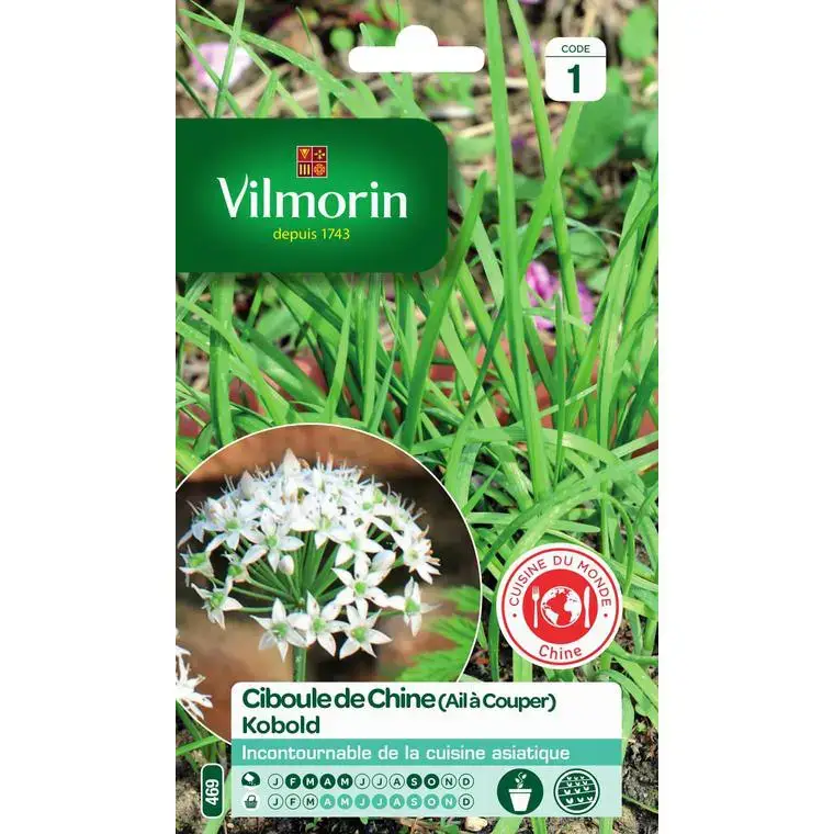 Petit Prix Graines de ciboule de Chine Kobold Vilmorin – graines à semer