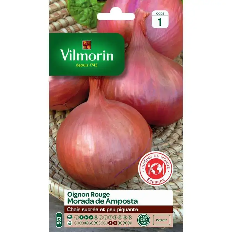 Graines d&rsquo;oignon rouge morada d&rsquo;Amposta Vilmorin – graines à semer Vente Directe