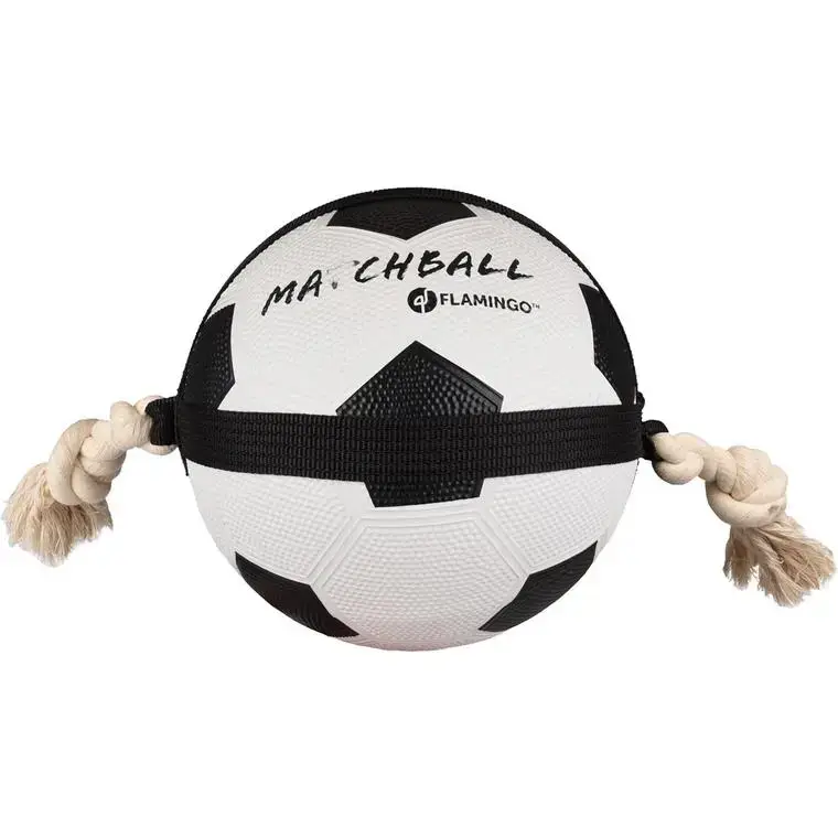 Commander Maintenant Jouet pour chien Flamingo Actionball foot – Ø 22 cm