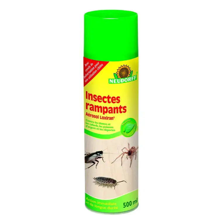 Aérosol insectes rampants 500 ml Offre Exclusive